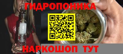 индика Конаково