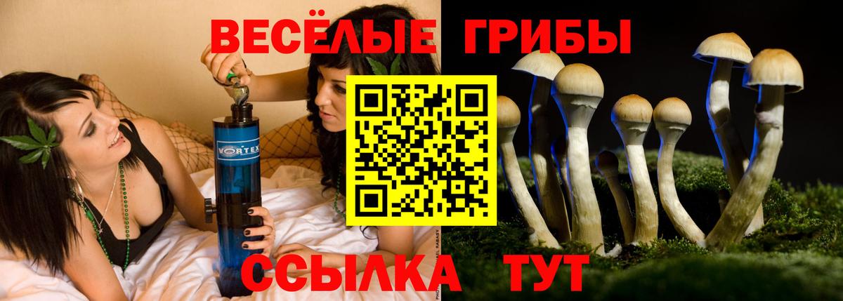 Галлюциногенные грибы прущие грибы Североморск